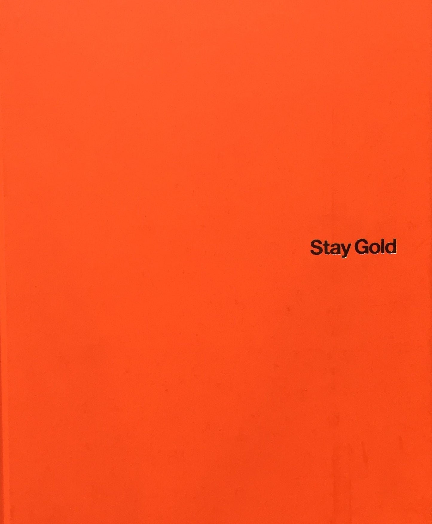 Stay Gold　武田陽介写真集