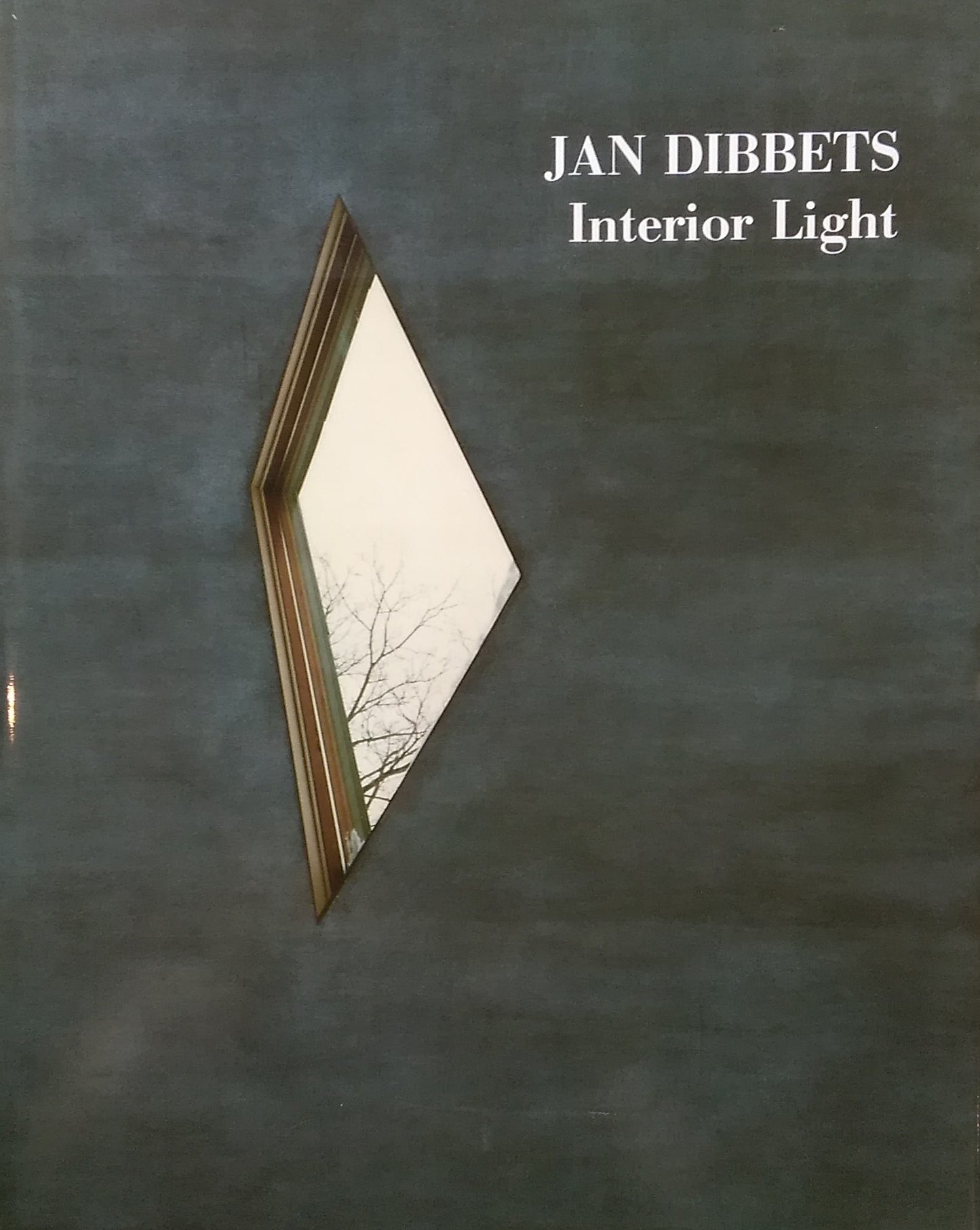 Interior Light　Works on Architecture1969-1990　Jan Dibbets