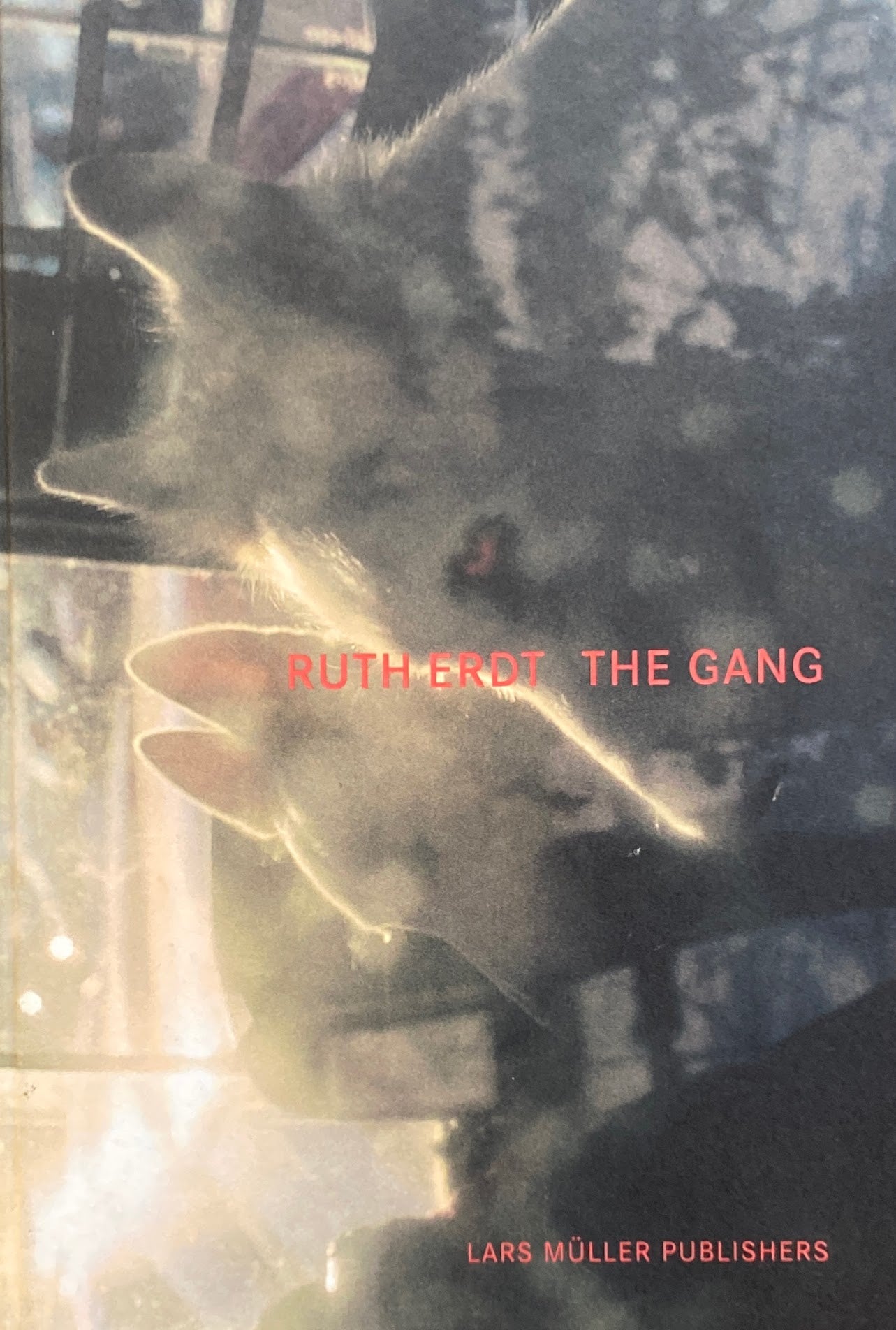 RUTH ERDT　THE GANG