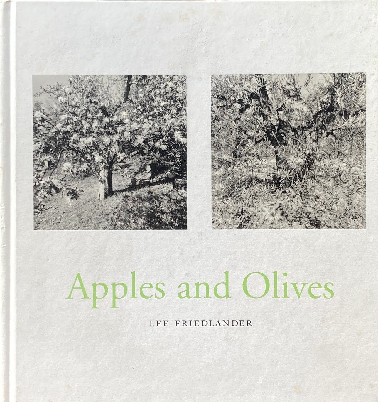 Apples and  Olives  Lee Friedlander リー・フリードランダー
