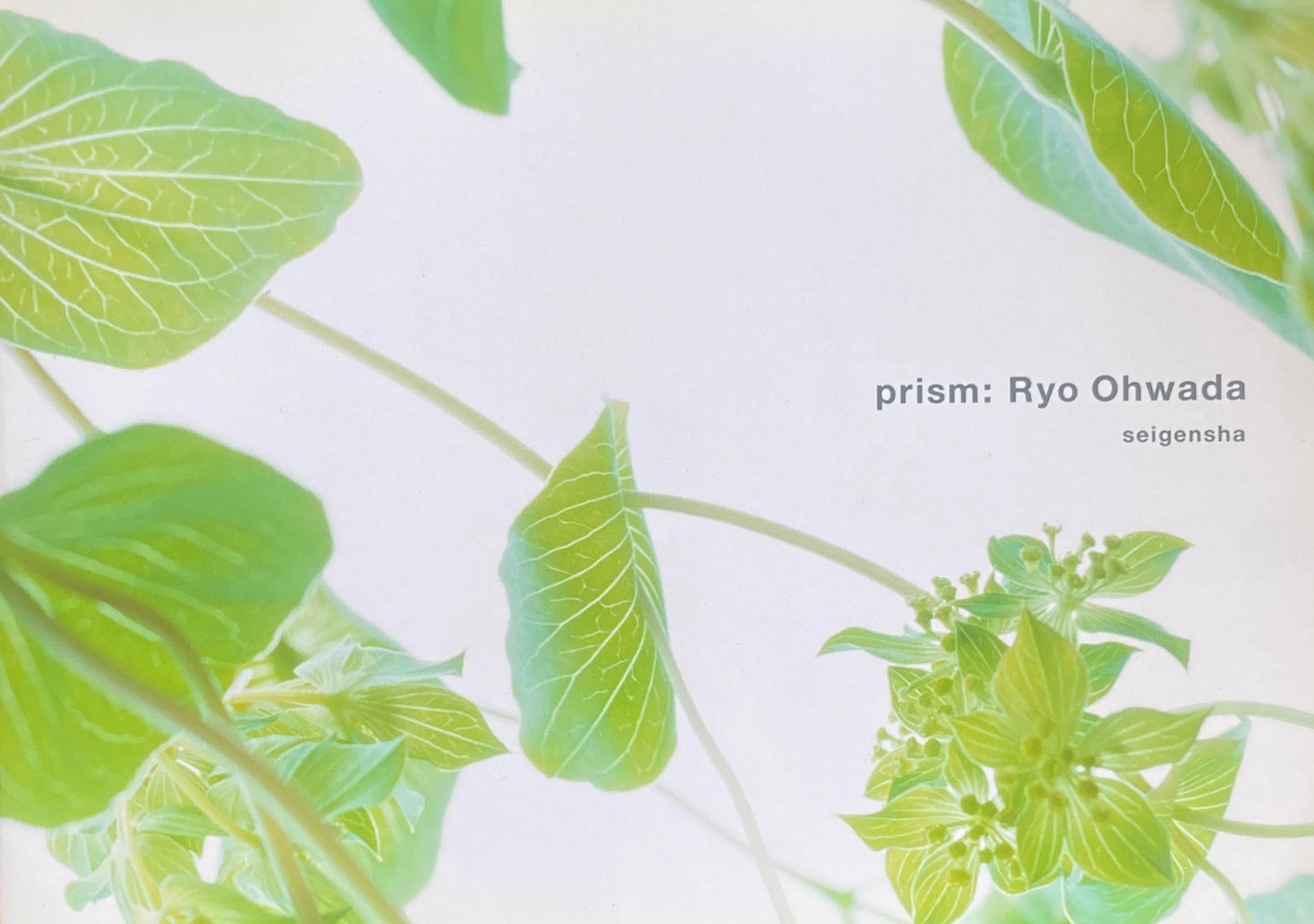 prism 大和田良 Ryo Ohwada World of ROUNDD prism | 大和田 良 |本 | 通販