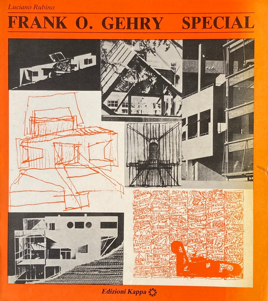 FRANK O. GEHRY  SPECIAL  Luciano Rubino