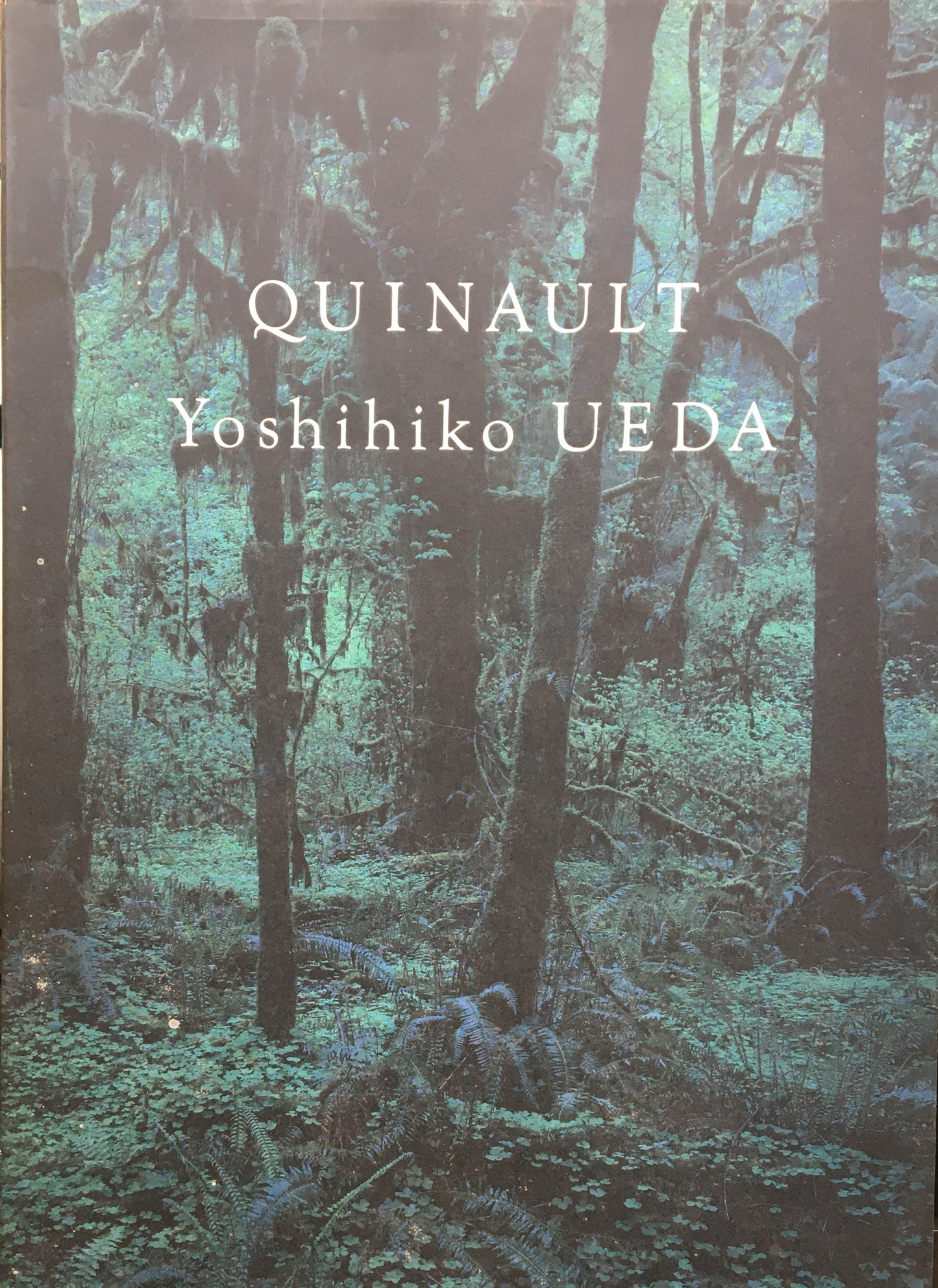 QUINAULT Yoshihiko UEDA　上田義彦　京都書院版