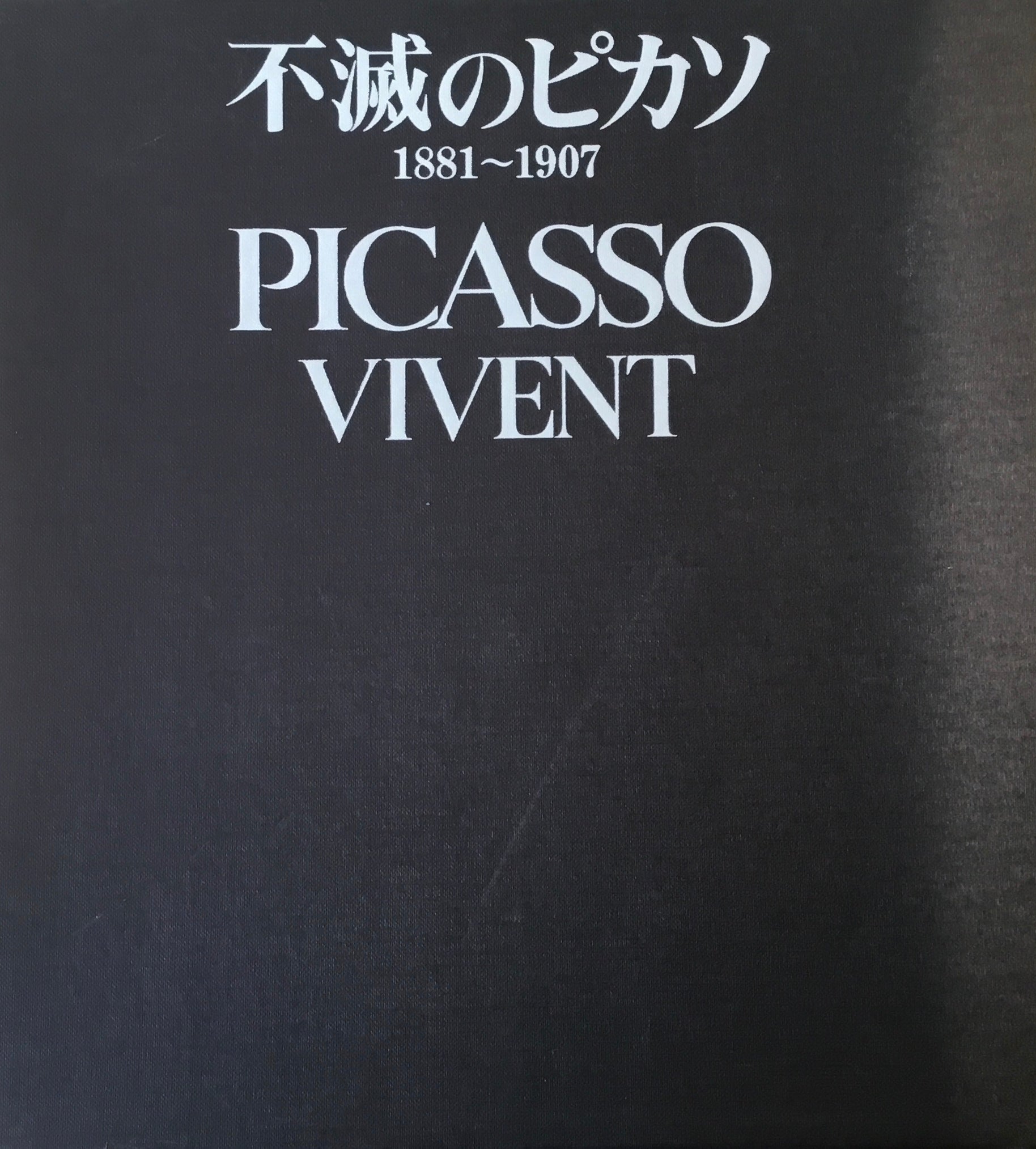 45492/パブロ・ピカソ 著作集 Pablo Picasso Collected Writings 1989 