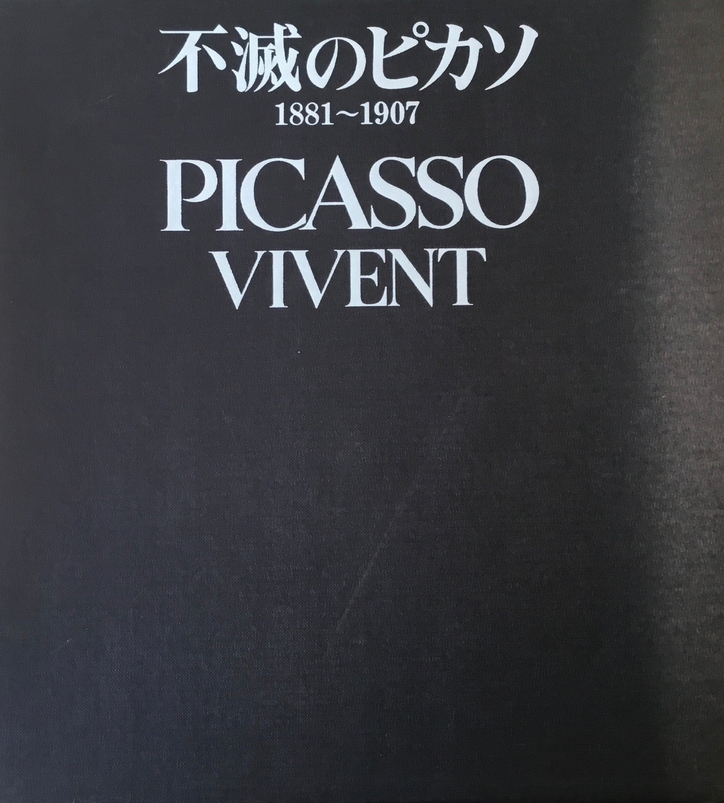 不滅のピカソ　1881−1907　ジュゼップ・パラウ・イ・ファブレ　Jusep Palau i Fabre　限定版