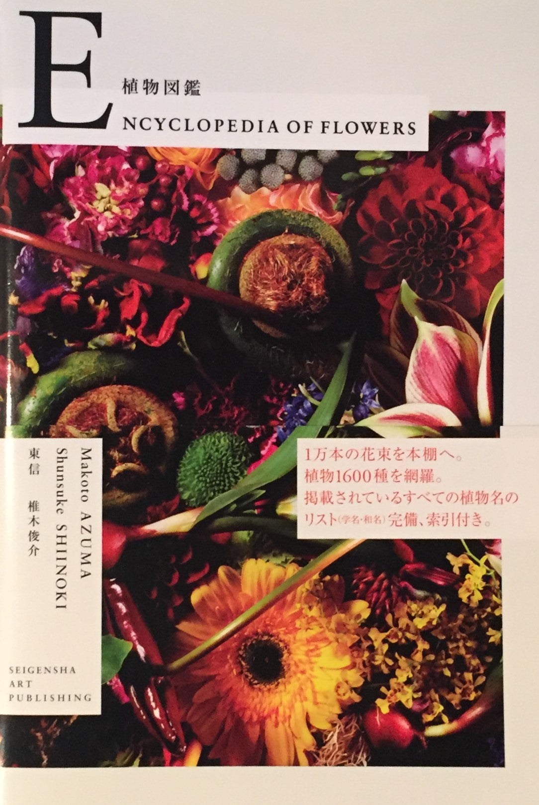 植物図鑑　Encyclopedia of Flowers　東信　椎木俊介