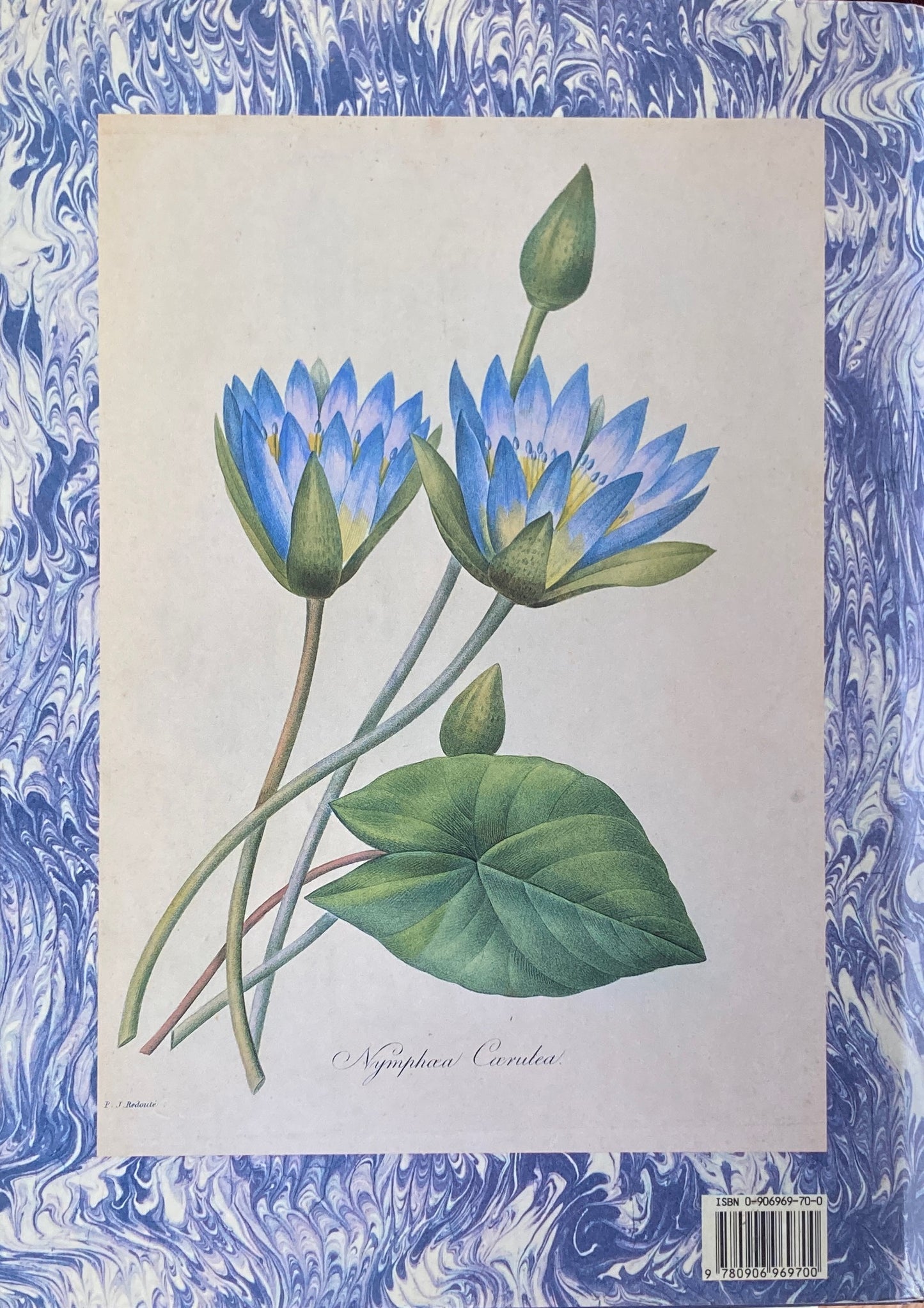 Redoute's Fairest Flowers 　ルドゥーテ