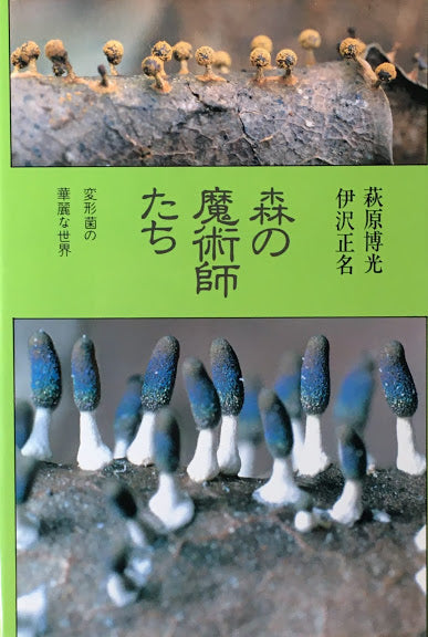 森の魔術師たち　変形菌の華麗な世界