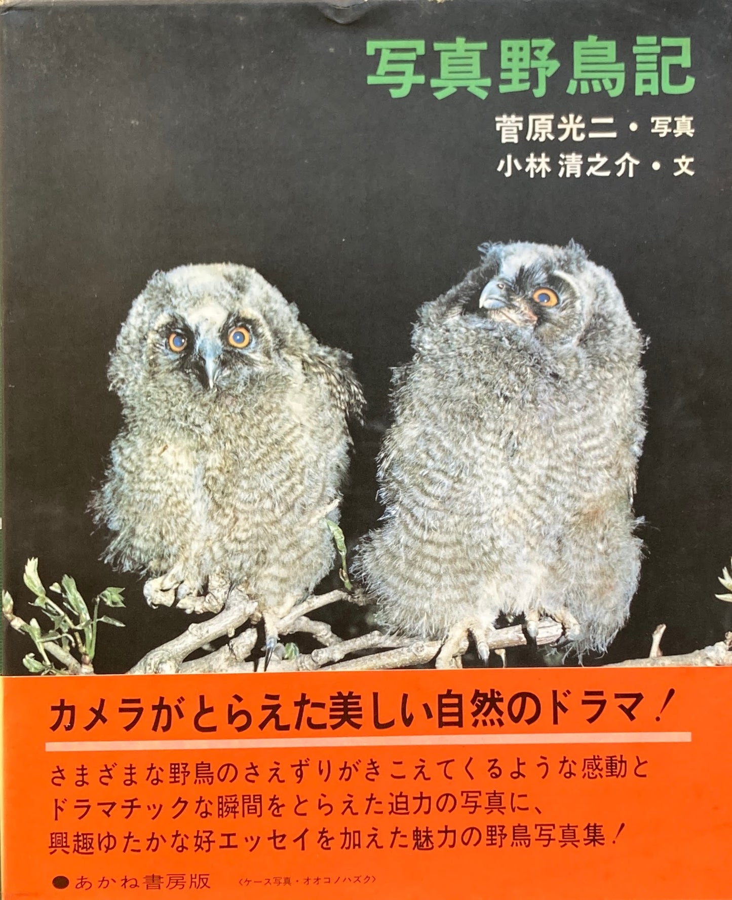 写真野鳥記　菅原光二　小林清之介　