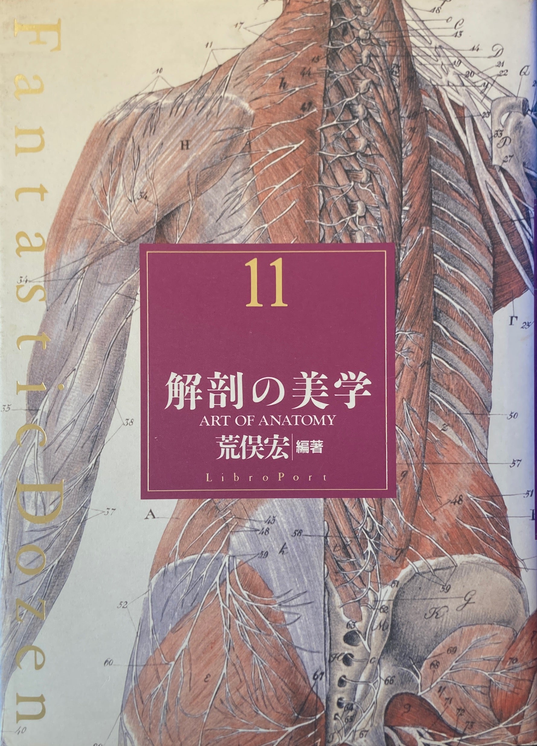 解剖の美学　荒俣宏　リブロポート 荒俣宏｜編著 解剖の美学 | タイムカプセル