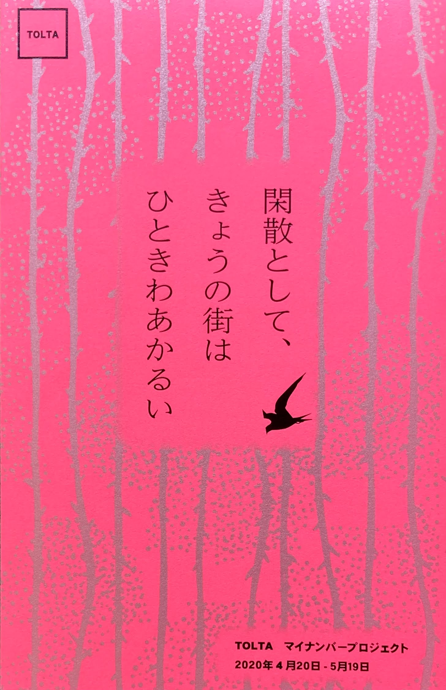 閑散として、きょうの街はひときわあかるい　TOLTA