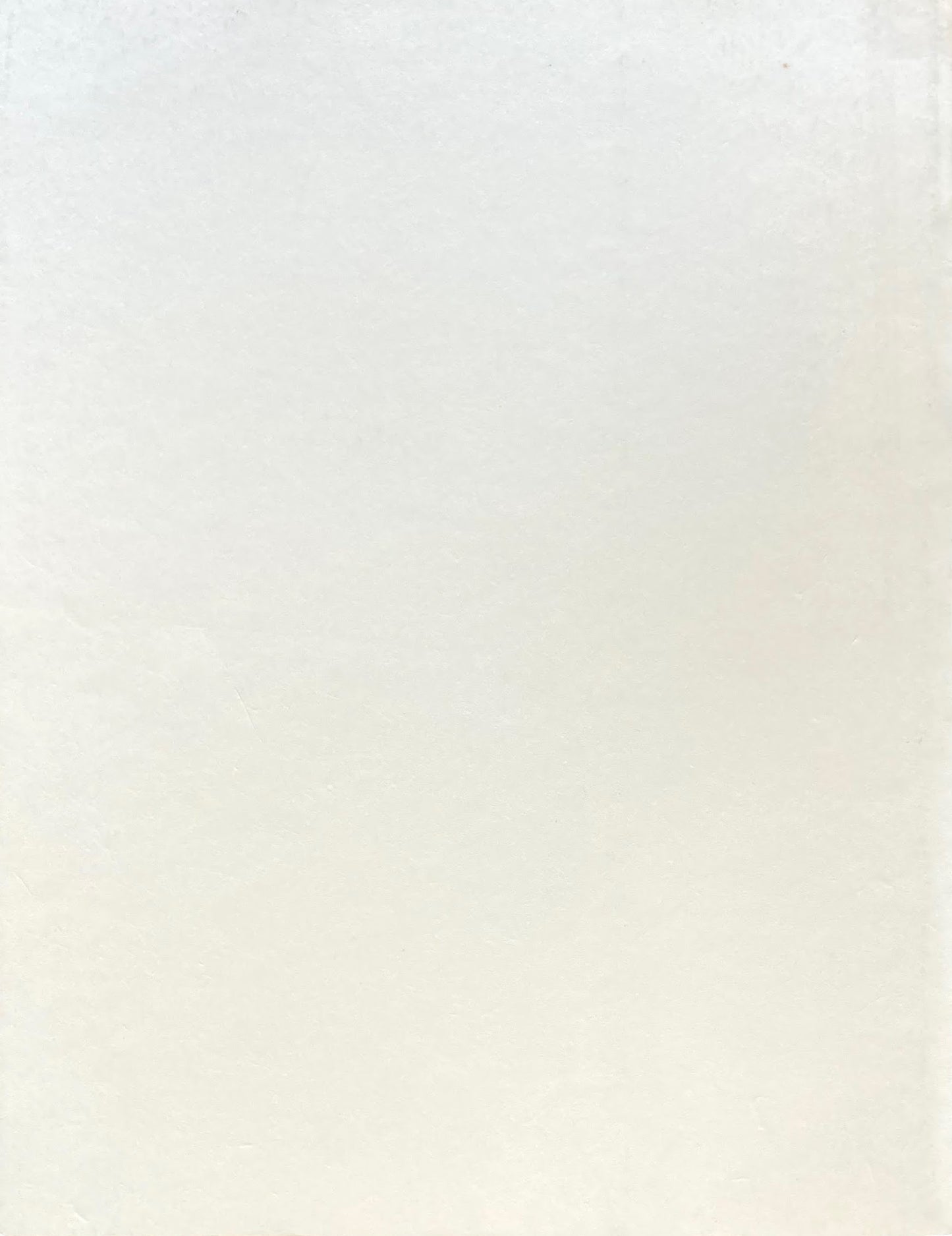 掛井五郎版画作品集1984-1991　