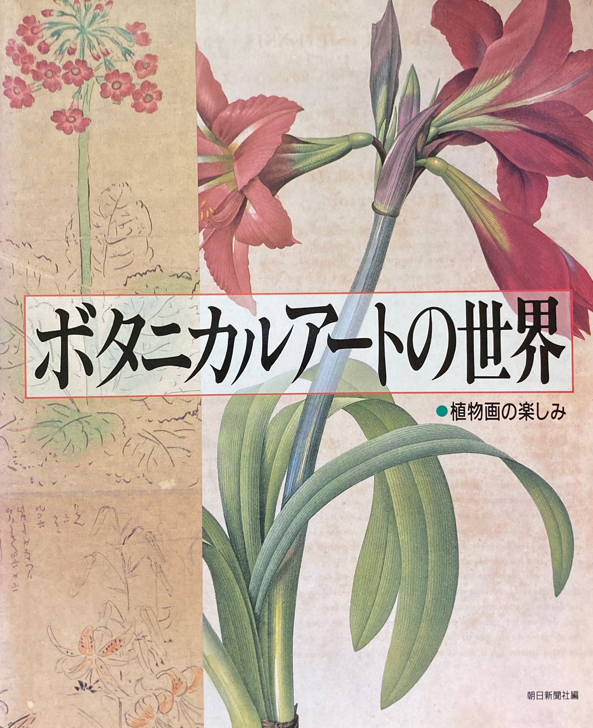 ボタニカルアートの世界　植物画の楽しみ　