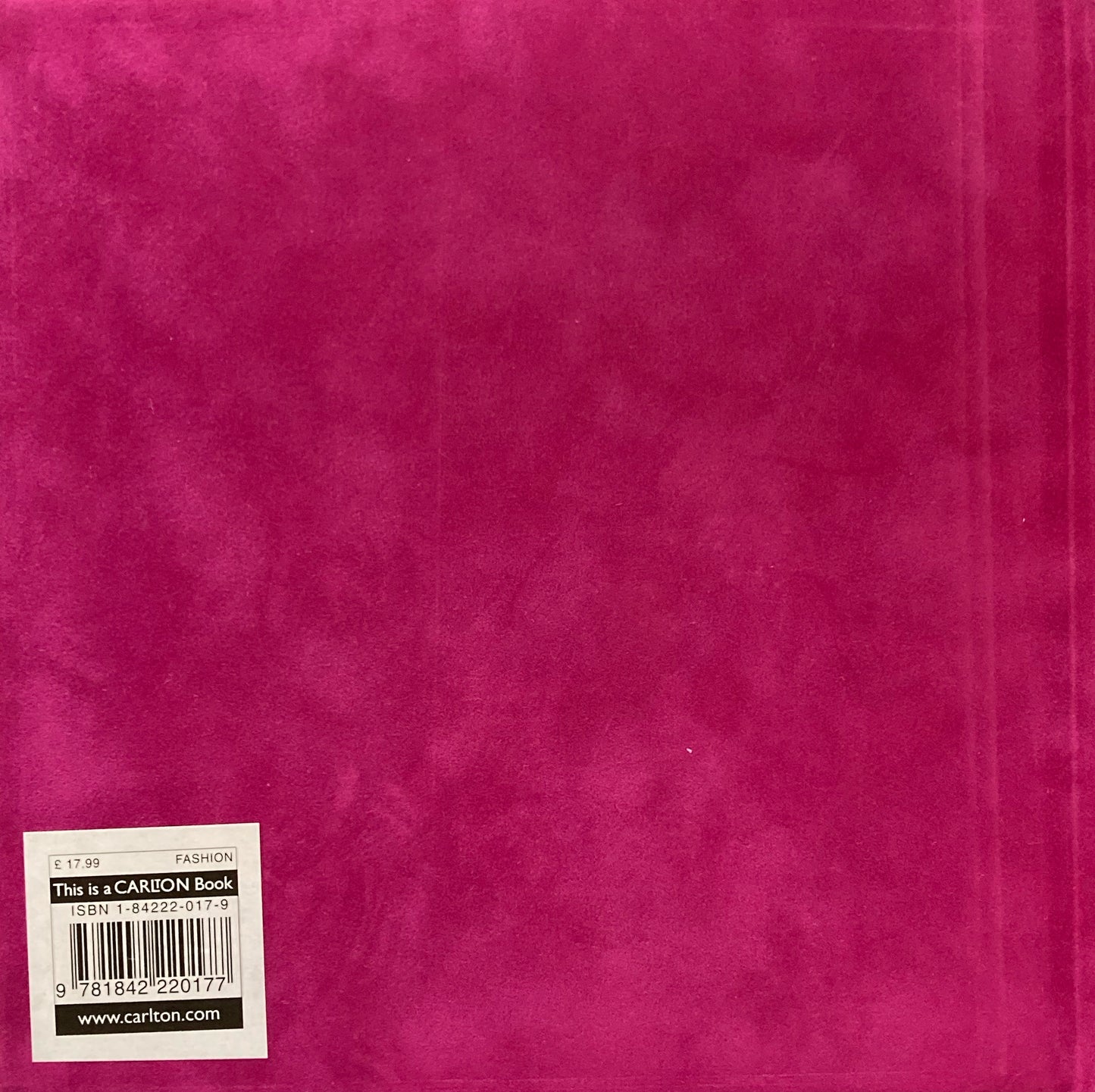 The Shoe　best foot forward Tamsin Blanchard