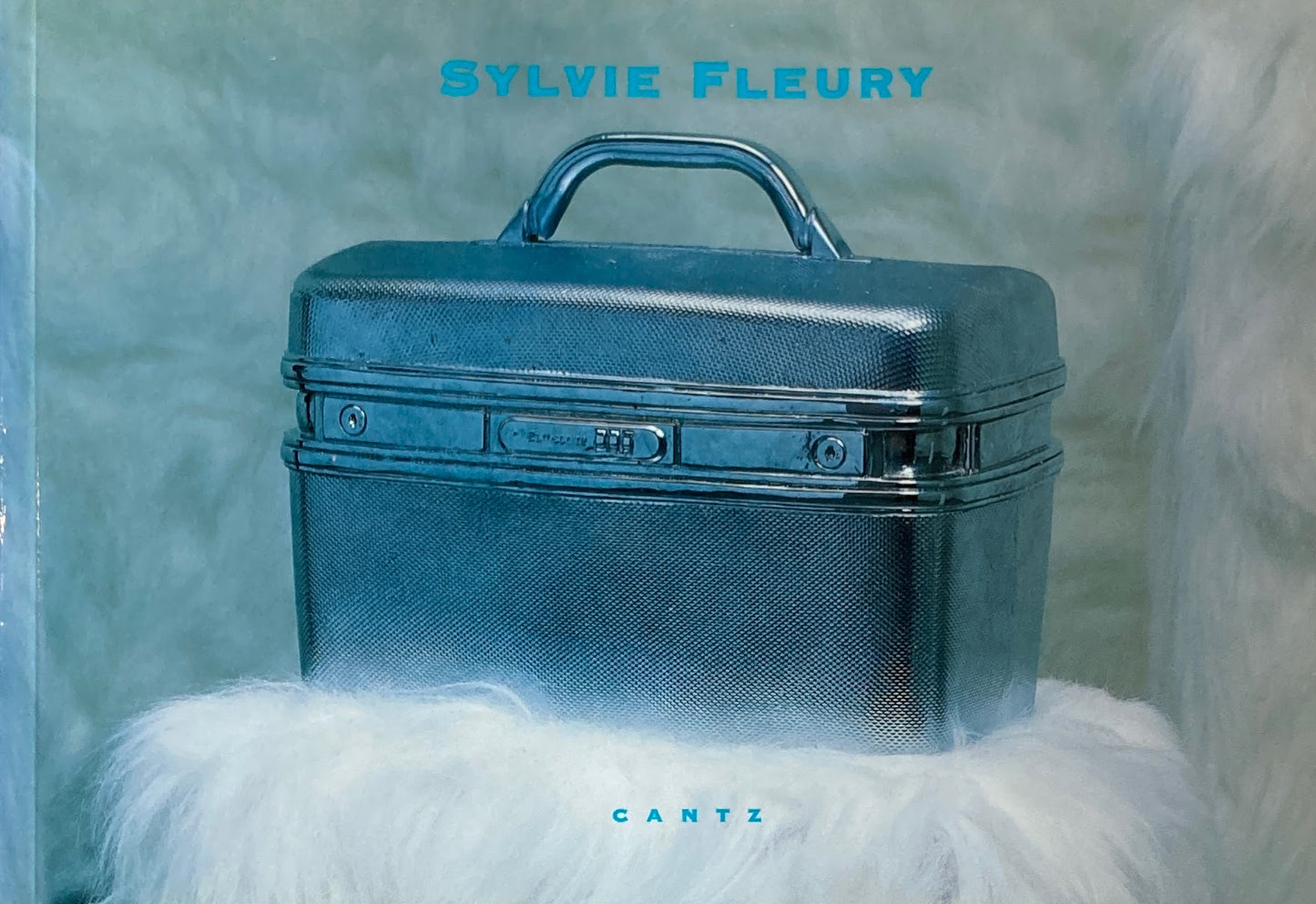 Sylvie Fleury 　シルヴィ・フルーリー