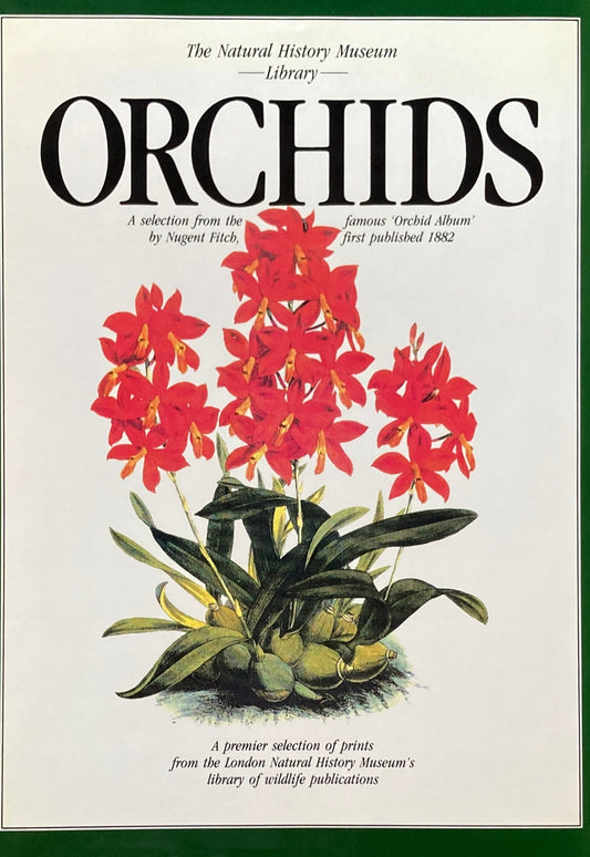 Orchid　Natural History Museum Library　a Selection from the Famous Orchid Album by Nugent Fitch　first published in 1882