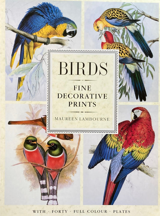 Birds: Fine Decorative Prints 　Poster Art Series　Maureen Lambourne