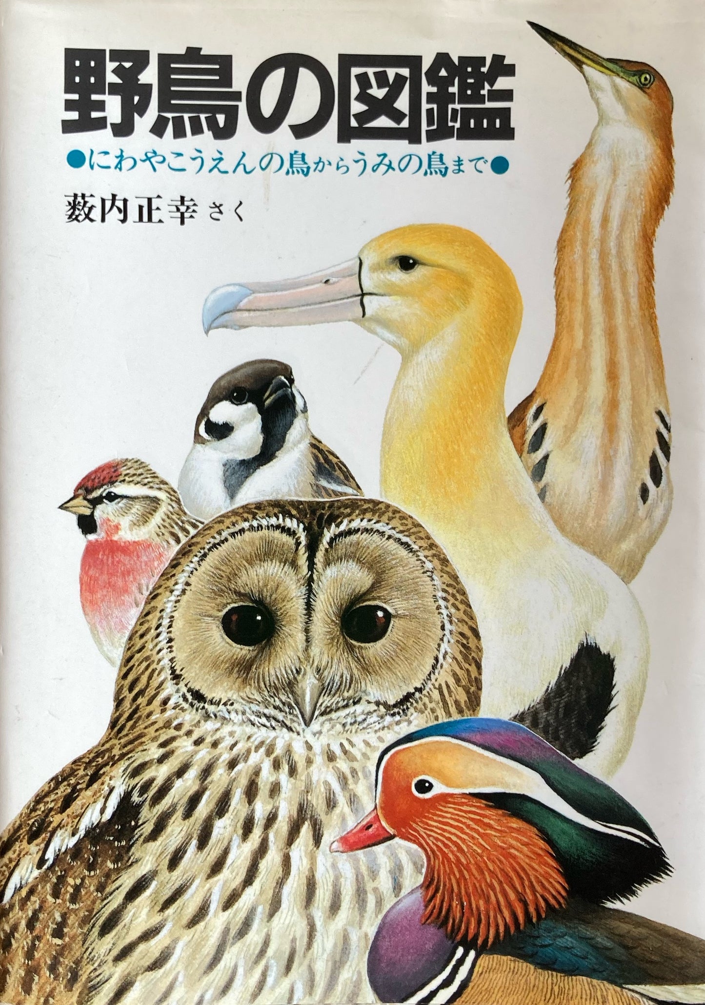 野鳥の図鑑　にわやこうえんの鳥からうみの鳥まで　藪内正幸