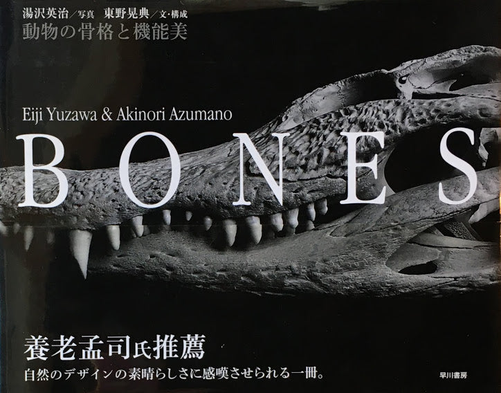 BONES　動物の骨格と機能美　湯沢英治　東野晃典