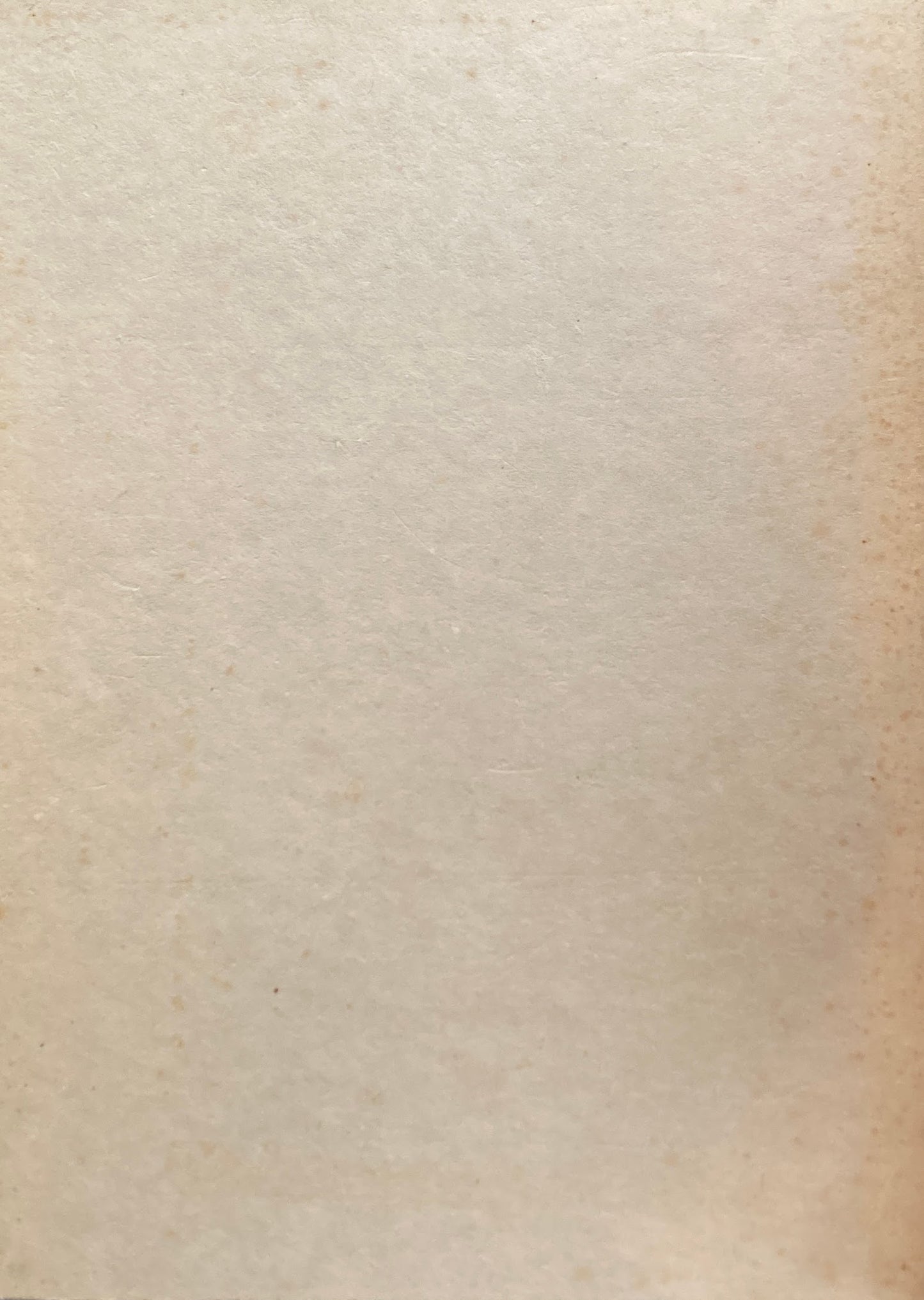 竹　TAKE　勅使河原宏　篠山紀信　