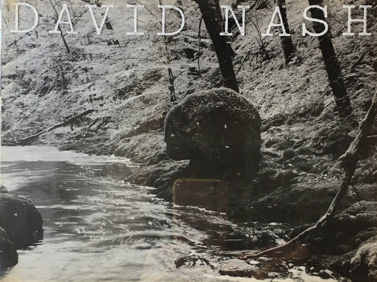 デイヴィッド・ナッシュ　樹のいのち、樹のかたち　栃木県立美術館　David Nash