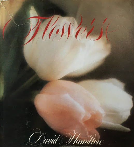 FLOWERS　David Hamilton　デヴィット・ハミルトン写真集