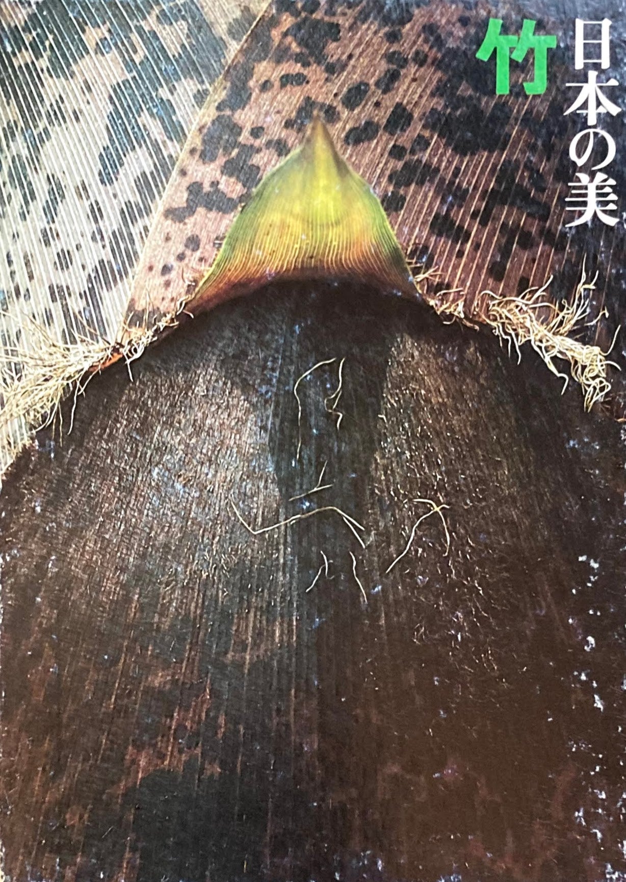 日本の美　竹　高間新治　上田弘一郎