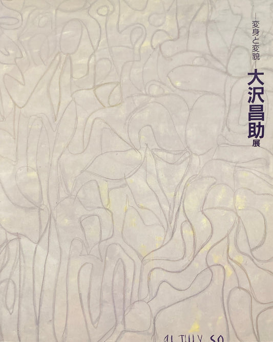 変身と変貌 大沢昌助展