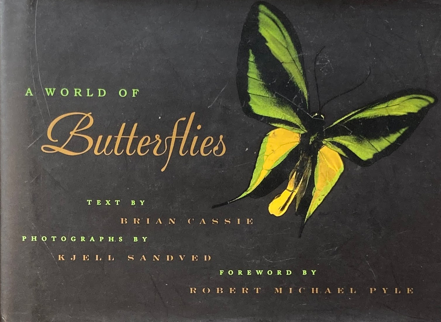  A World Of Butterflies　Brian Cassie