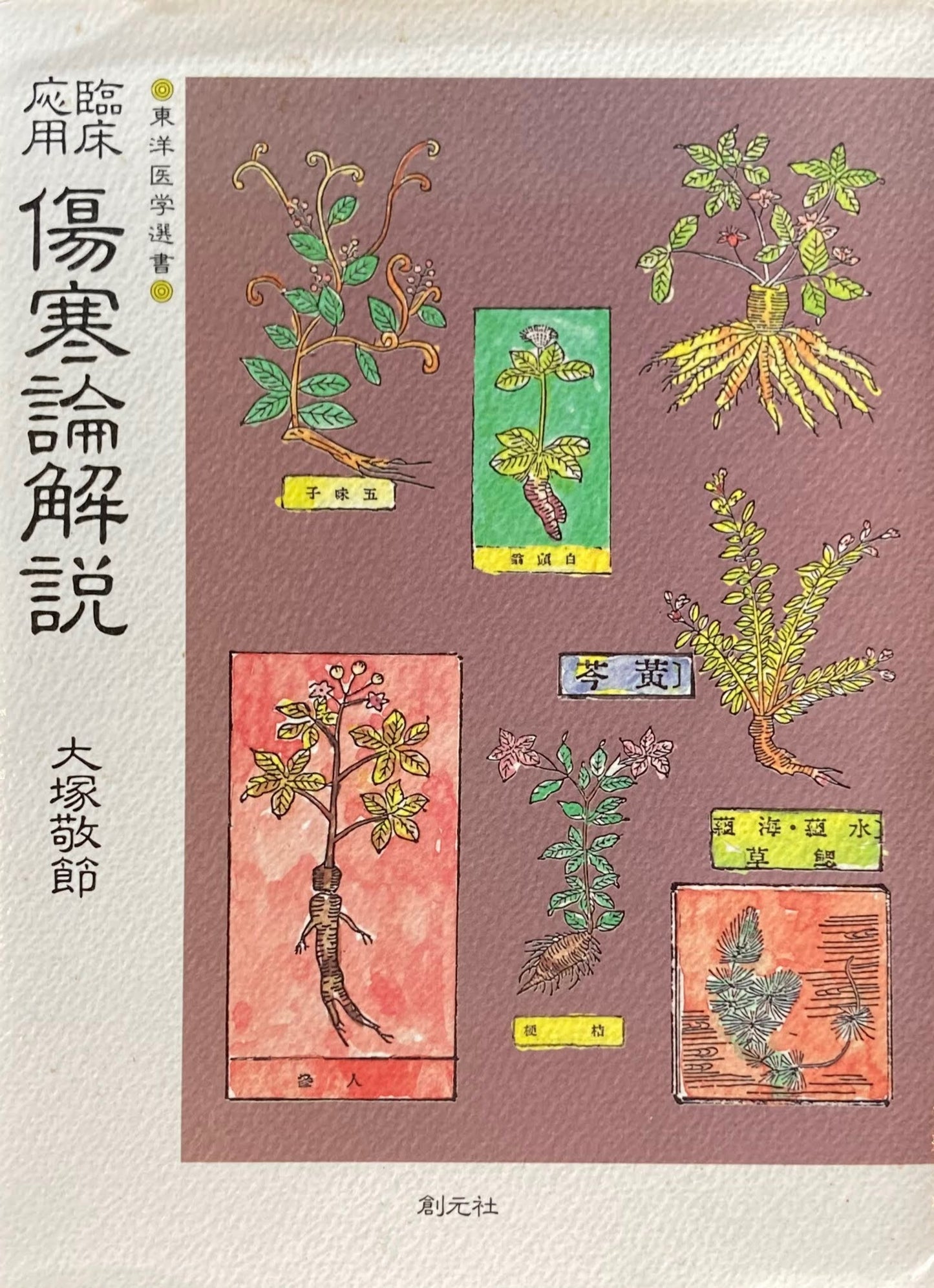 臨床応用　傷寒論解説　大塚敬節　東洋医学選書　