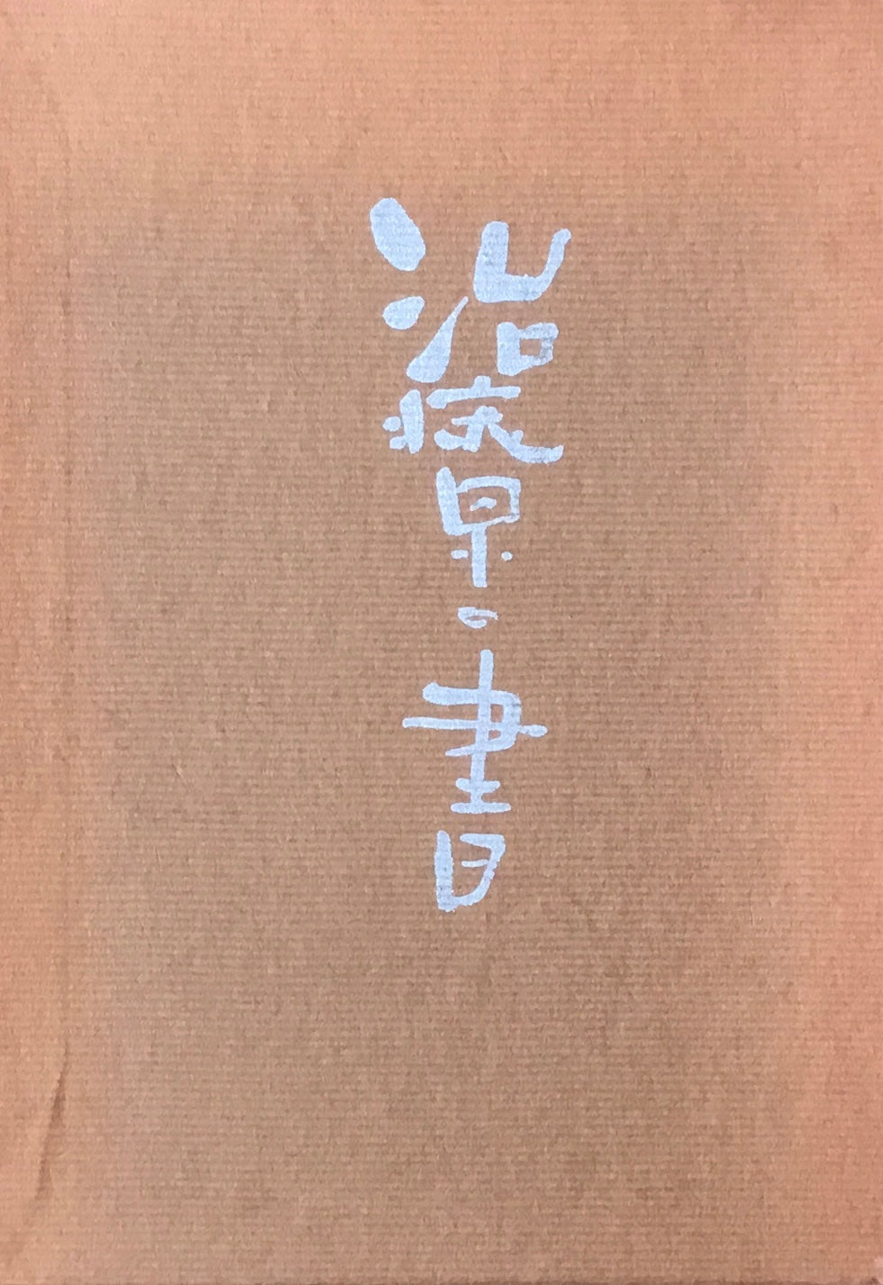 治療の書　野口晴哉