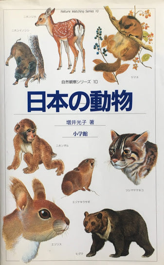 日本の動物　増井光子　自然観察シリーズ10
