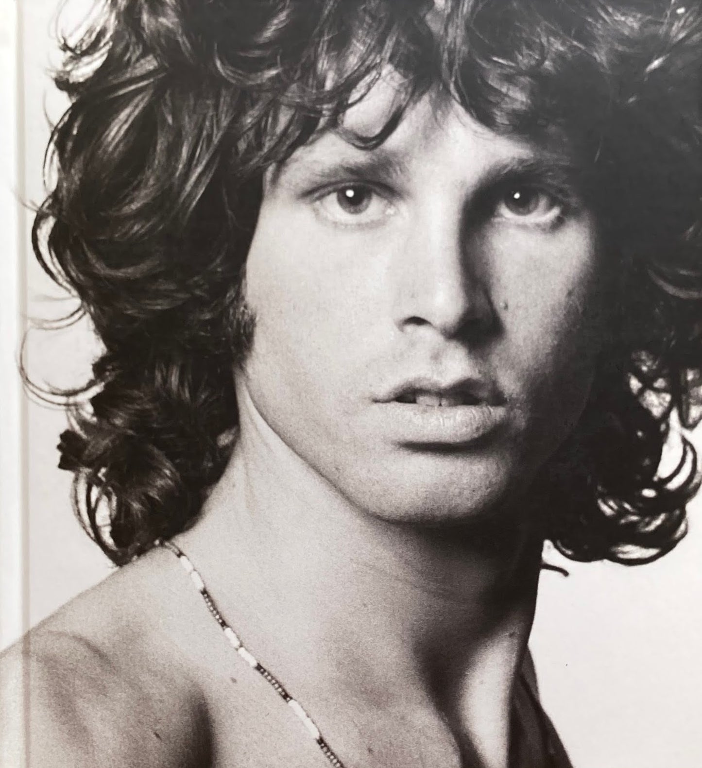 The Jim Morrison Scrapbook　James Henke