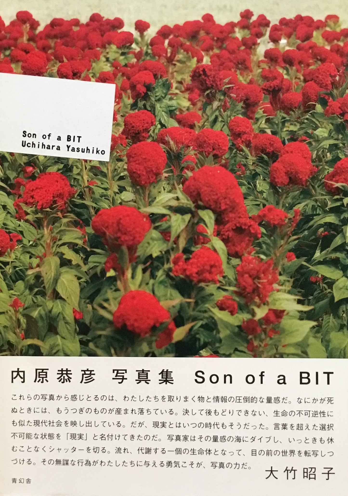 Son of a BIT　内原泰彦写真集