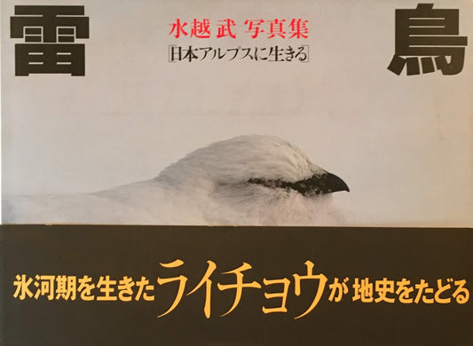 雷鳥 水越武写真集 日本アルプスに生きる