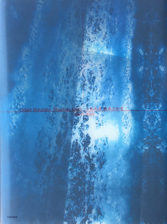 小谷元彦 幽体の知覚 森美術館