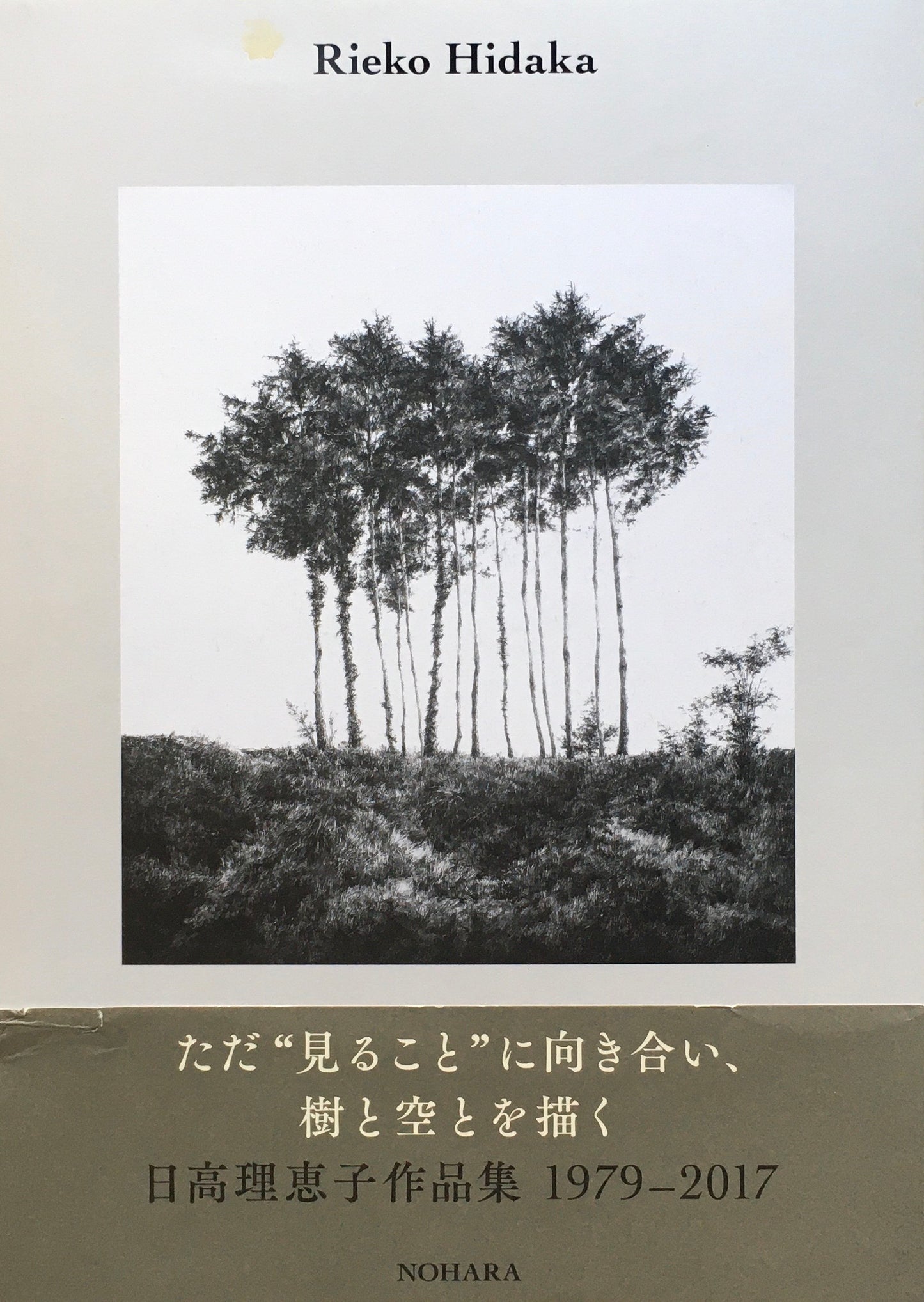 日髙理恵子作品集　1979‐2017