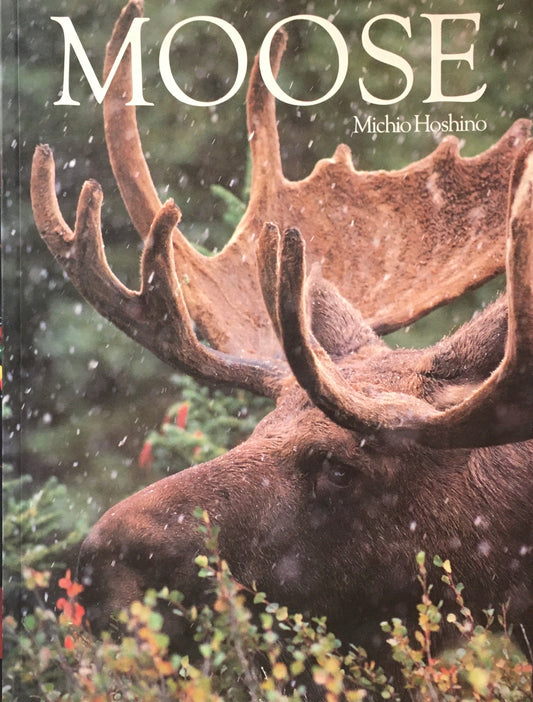 MOOSE　Michio Hoshino　星野道夫写真集