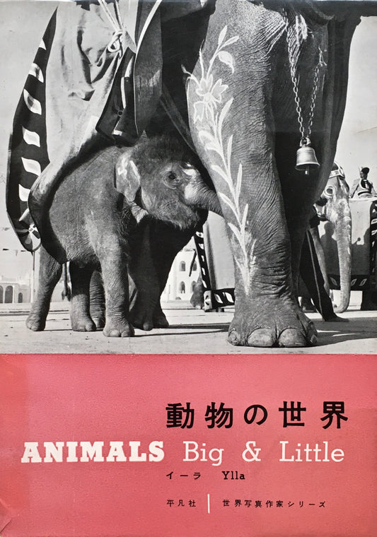動物の世界　イーラ　ANIMALS Big＆Little　世界写真作家シリーズ