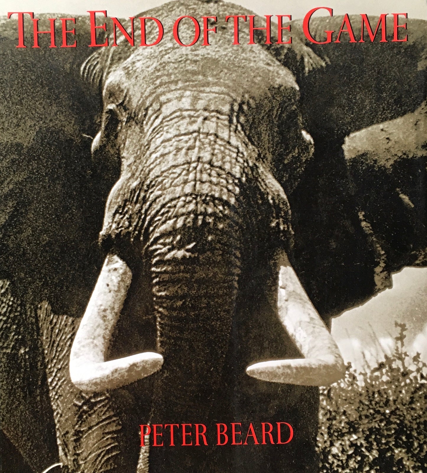 THE END OF THE GAME　PETER BEARD