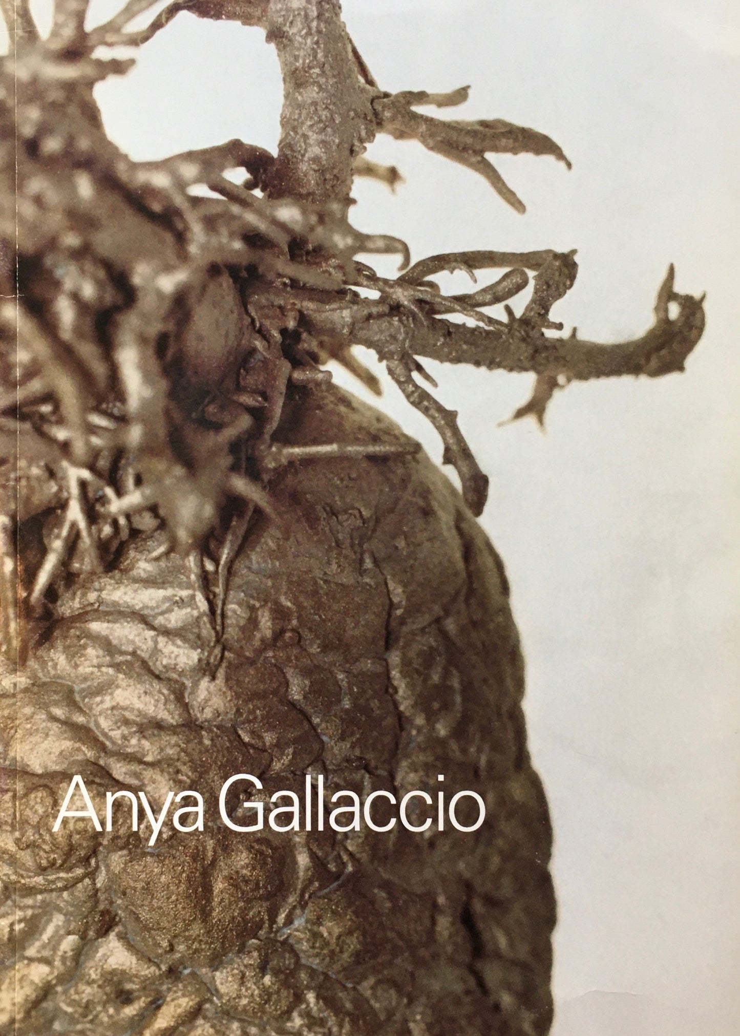 アーニャ・ガラッチオ Anya Gallaccio  Ikon Gallery