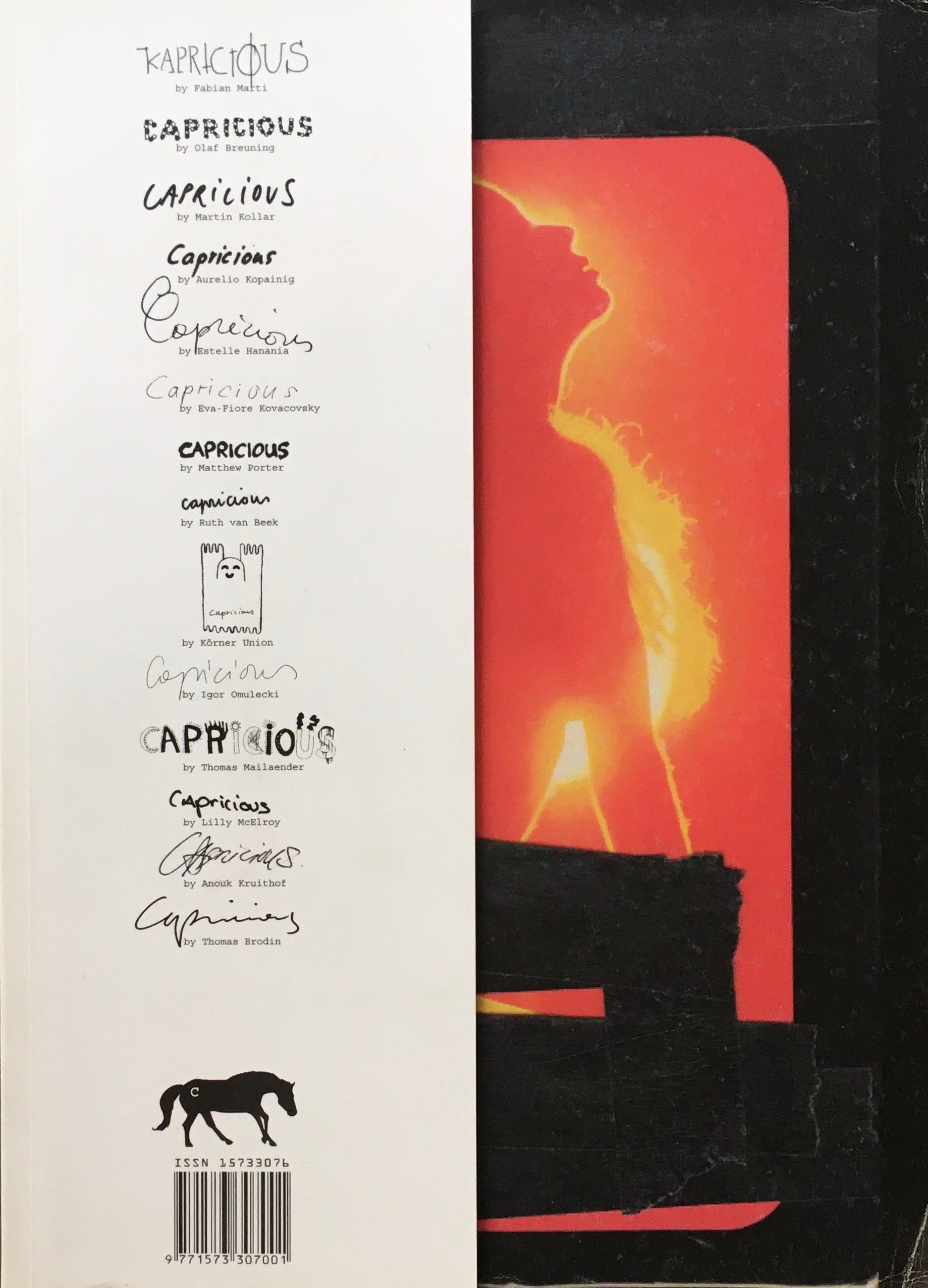 Capricious No.6 New Photography – smokebooks shop