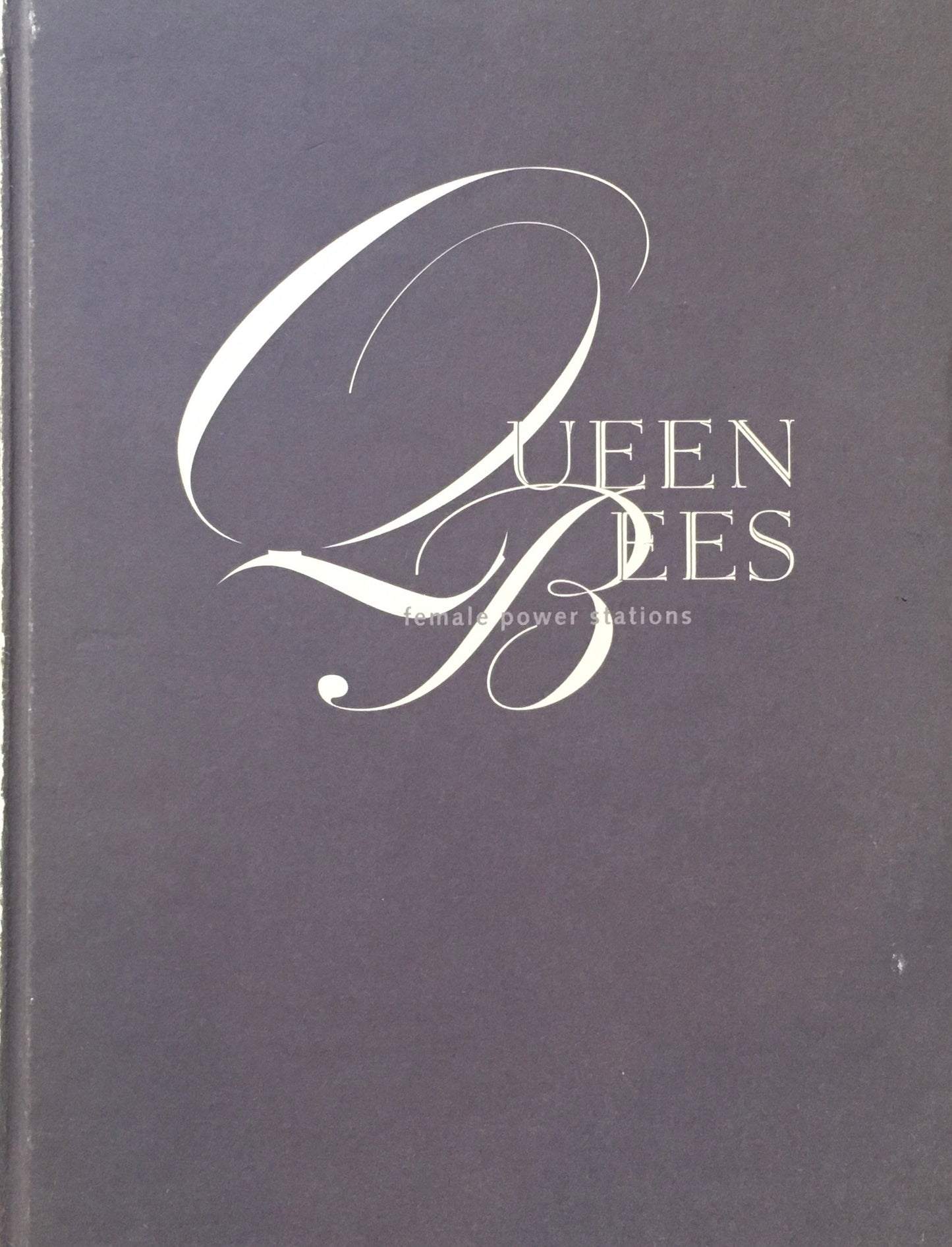 Jacqueline Hassink　 Female Power Stations：Queen Bees