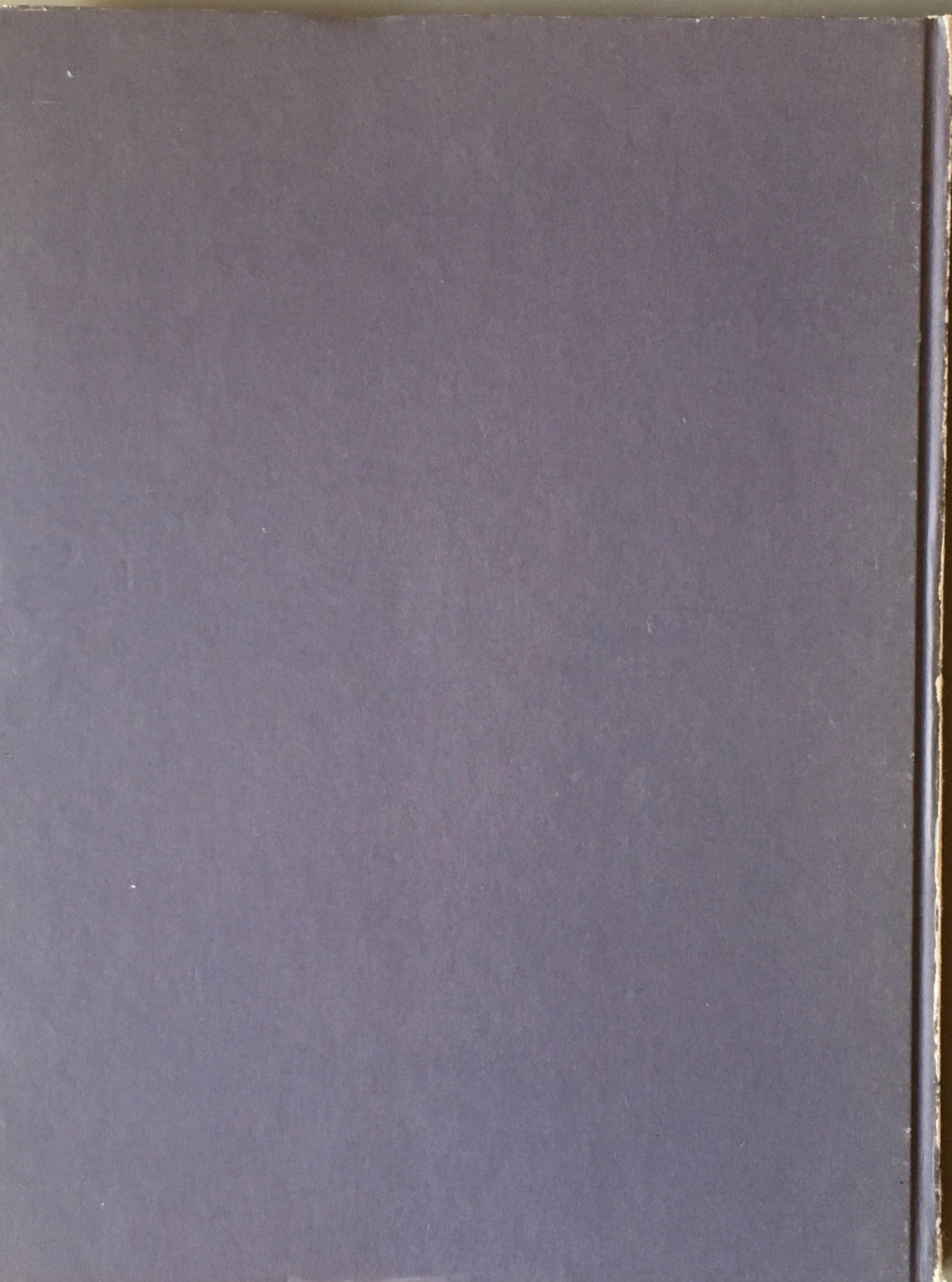 Jacqueline Hassink　 Female Power Stations：Queen Bees