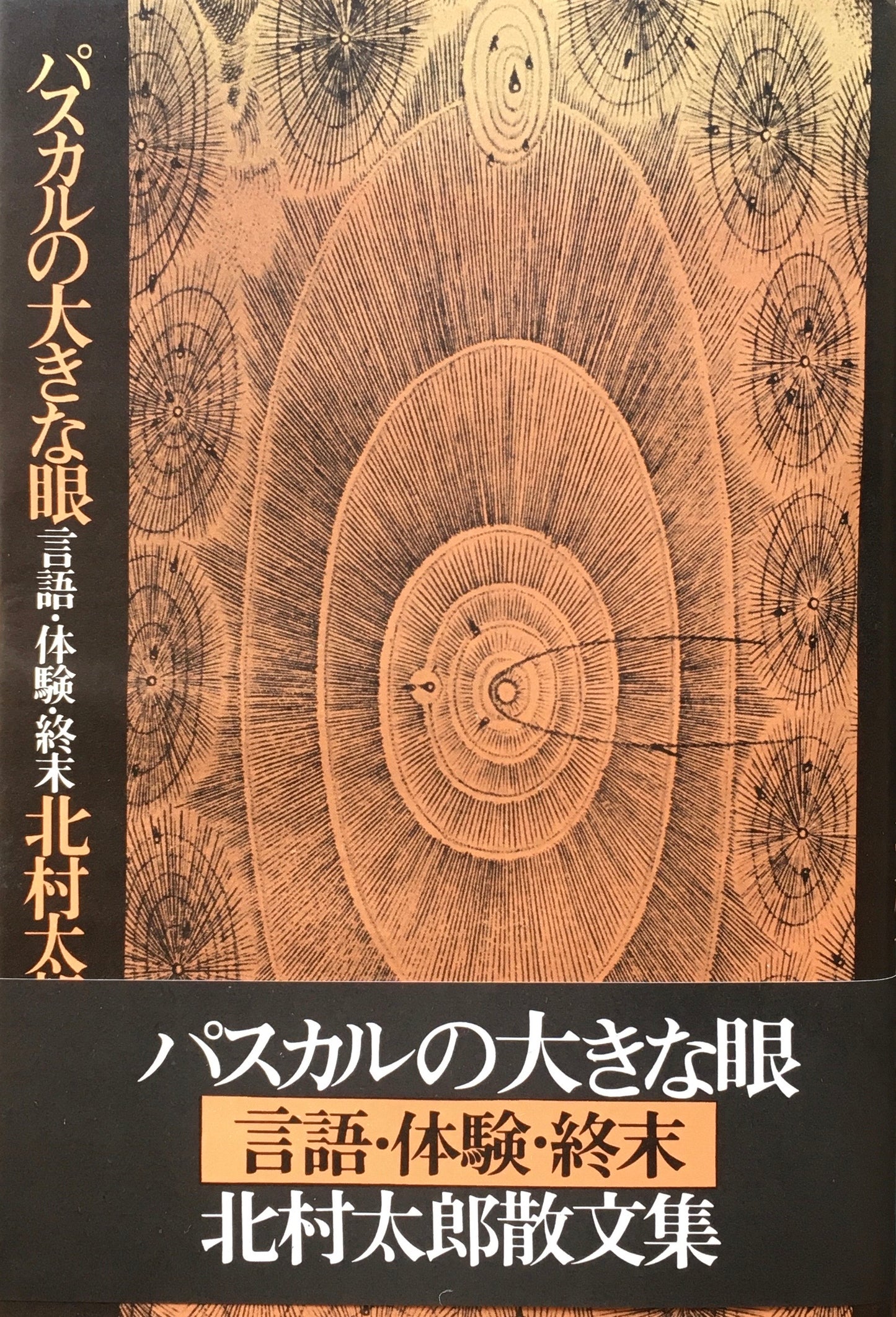 パスカルの大きな眼　言語・体験・終末　北村太郎散文集