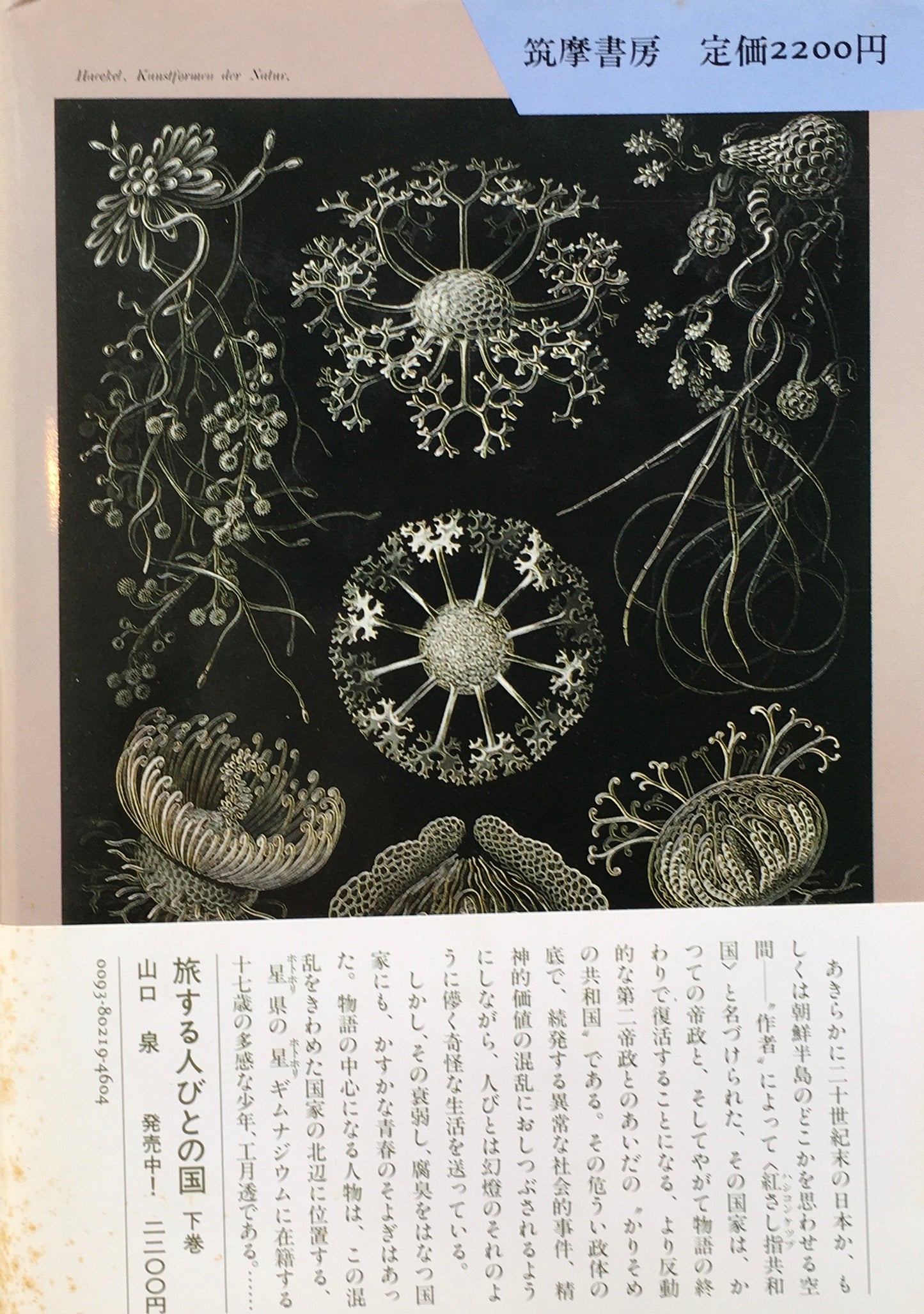旅する人々の国　山口泉　上巻下巻　2冊　揃
