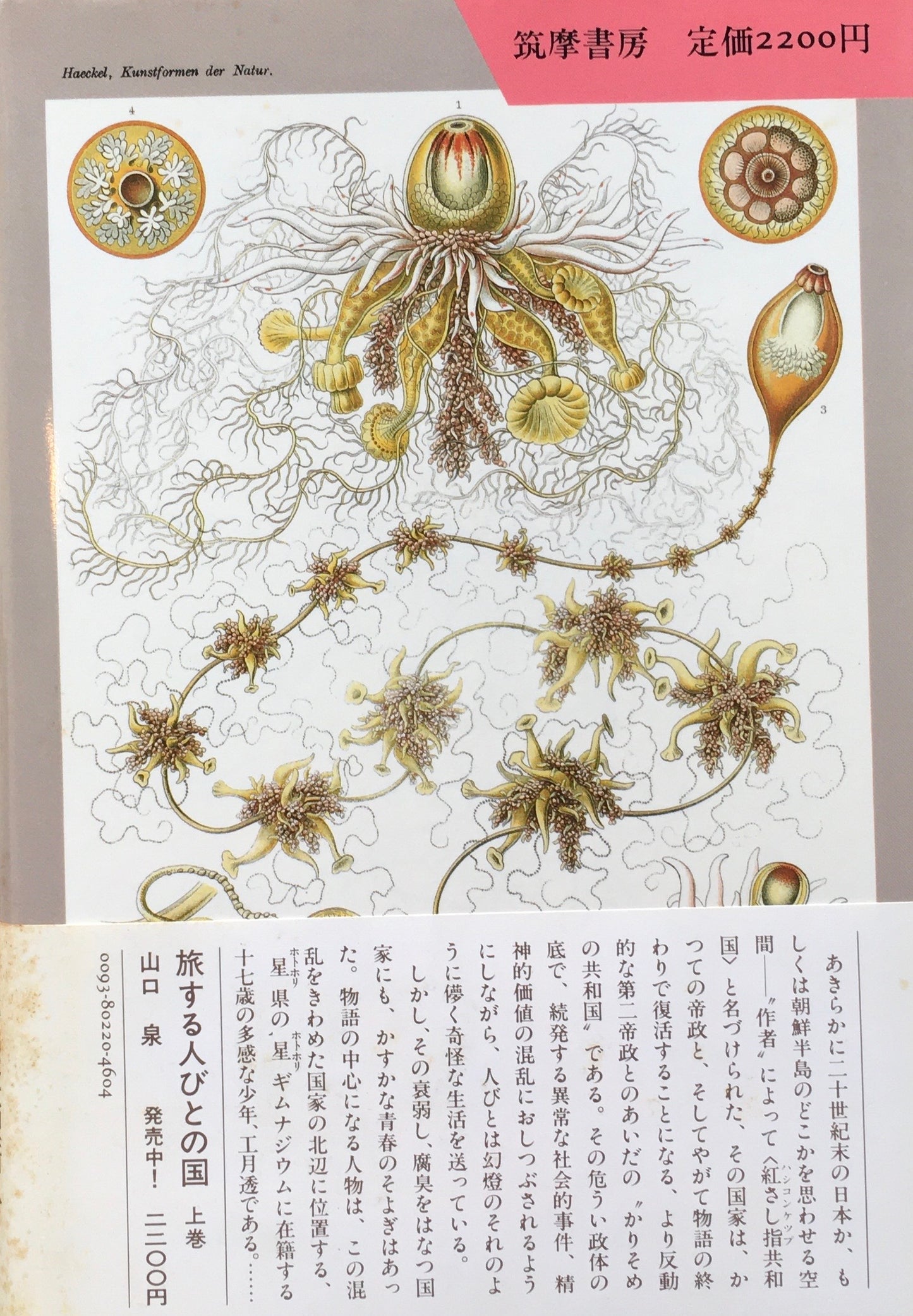 旅する人々の国　山口泉　上巻下巻　2冊　揃