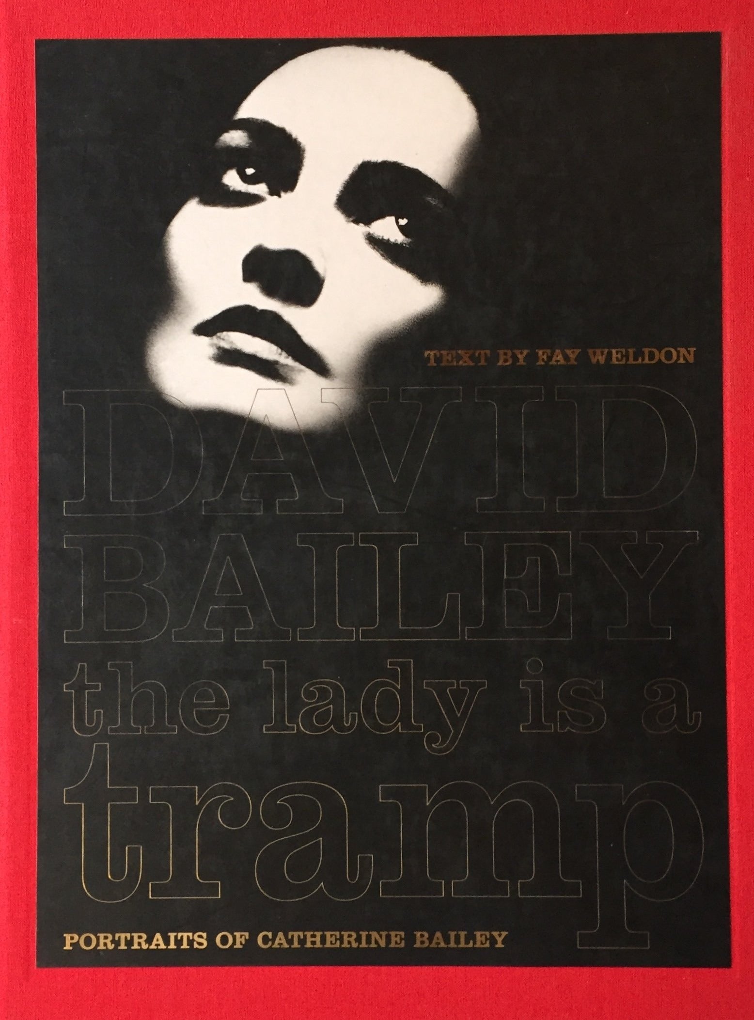 DAVID BAILEY】ディヴィッドベイリー 洋書 写真集 ファッション ポートレート モデル - 写真集