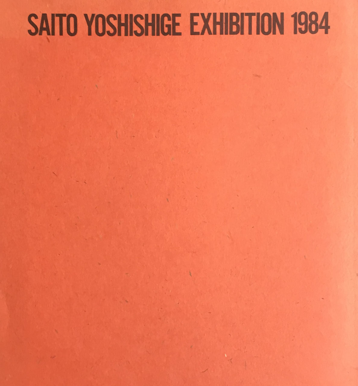斎藤義重展　1984年
